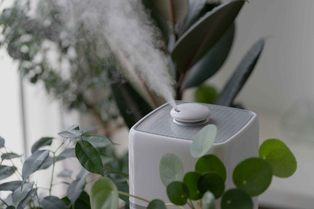 5 Reasons Why Your Home Needs an Air Purifier This Summer
