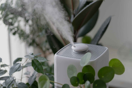 5 Reasons Why Your Home Needs an Air Purifier This Summer
