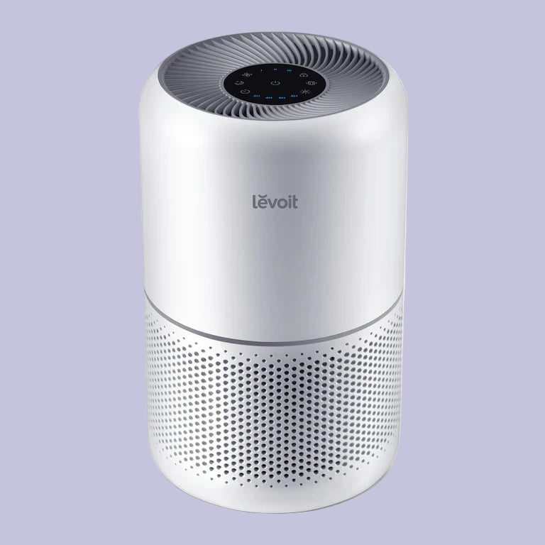 LEVOIT Core 300 Air Purifier