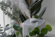 5 Reasons Why Your Home Needs an Air Purifier This Summer