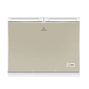 Dawlance 91998 14 CFT Twin Door Inverter Deep Freezer