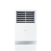EcoStar 24LB01 2 Ton Inverter Air Conditioner (2026)