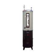 Fischer Fast Electric Geyser F-100 Liter