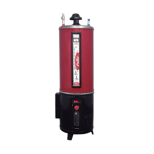 Fischer Hybrid (Electric Gas Geyser) 65 Gallon